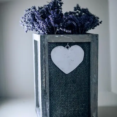 Labor Kvartely Hotel